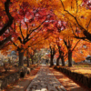 宇都宮市の紅葉