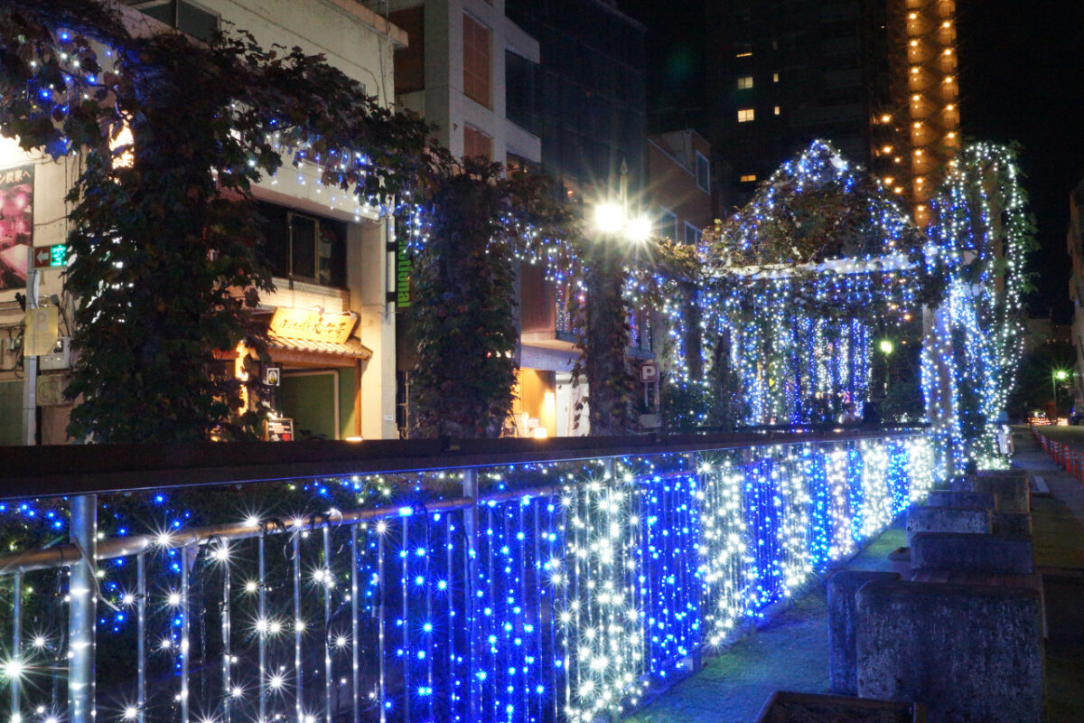 うつのみやイルミネーション2025