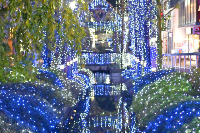 うつのみやイルミネーション2025