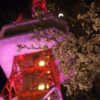 八幡山公園の夜桜（宇都宮タワーと夜桜）